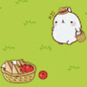 Meet your Posher, Carissa